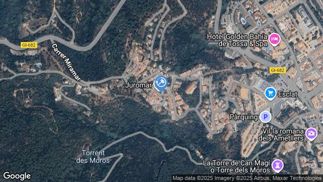 Ubicación de la subastas Subasta de vivienda en Tossa de Mar