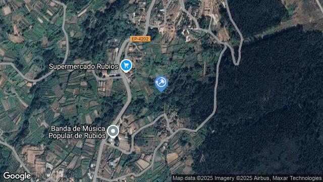 Ubicación de la subastas Subasta de finca rústica en as neves