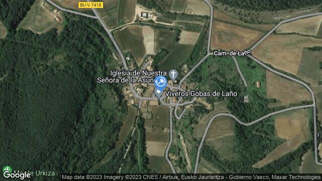 Ubicación de la subastas Subasta de finca rústica en BURGOS