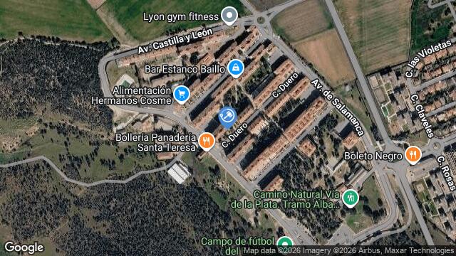 Ubicación de la subastas Subasta de cl duero ( terradillos) en TERRADILLOS