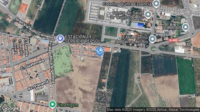 Ubicación de la subastas Subasta de garaje en PALMA DEL RÍO