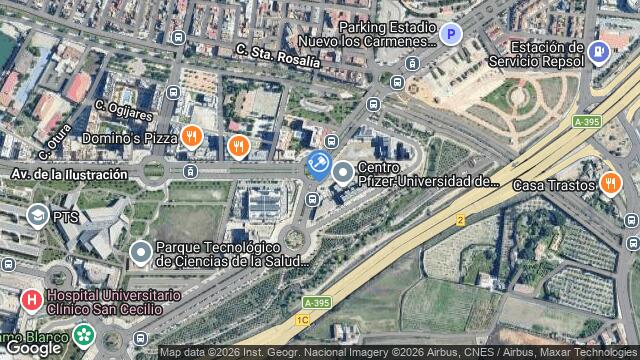 Ubicación de la subastas Subasta de cl la gran manzana en Granada