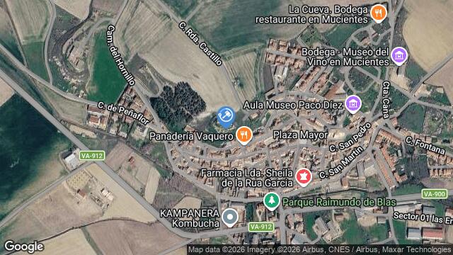 Ubicación de la subastas Subasta de viña  ( mucientes - valladolid) en VALLADOLID