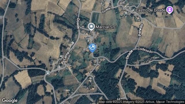 Ubicación de la subastas Subasta de finca rústica en LALIN