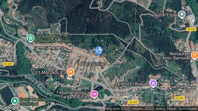 Ubicación de la subastas Subasta de vivienda en Arbucies