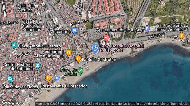 Ubicación de la subastas Subasta de local comercial en estepona