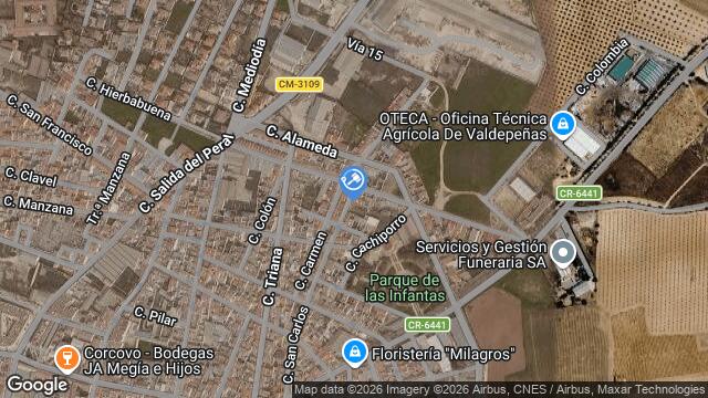 Ubicación de la subastas Subasta de cl san carlos en Ciudad Real