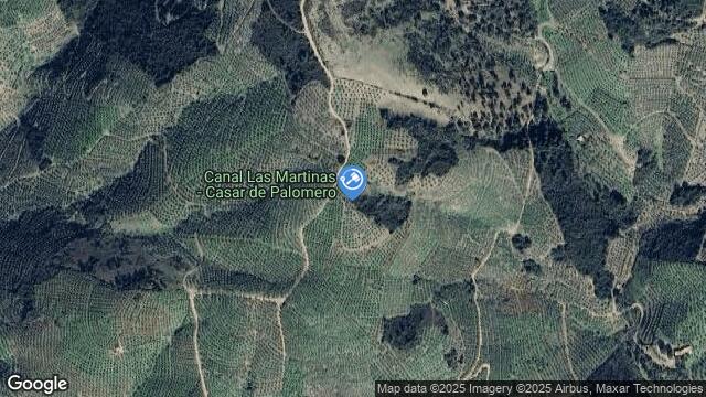 Ubicación de la subastas Subasta de finca rústica en CASAR DE PALOMERO