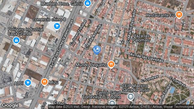 Ubicación de la subastas Subasta de vivienda en TORREVIEJA