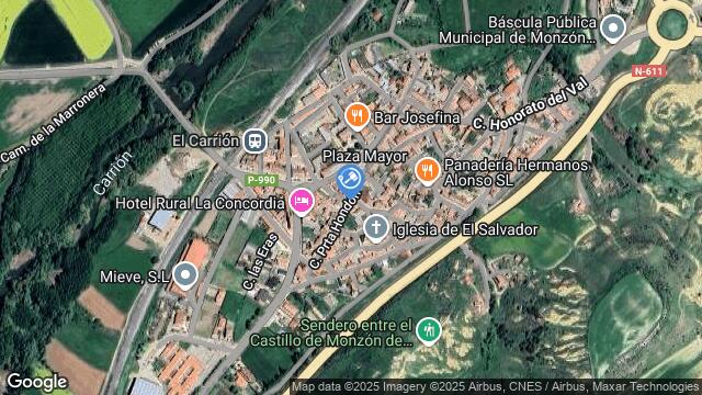 Ubicación de la subastas Subasta de finca rústica en MONZON DE CAMPOS