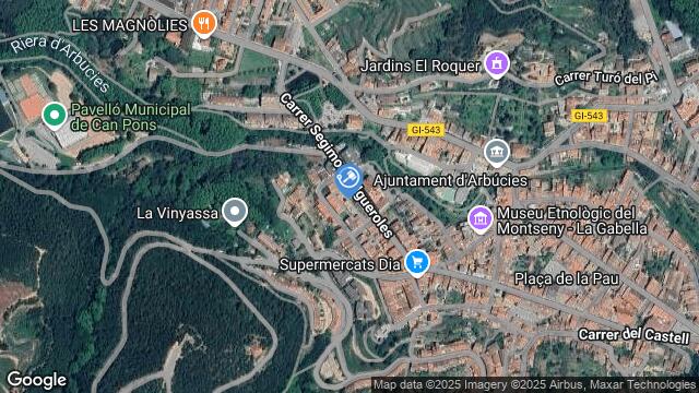Ubicación de la subastas Subasta de vivienda en Arbúcies
