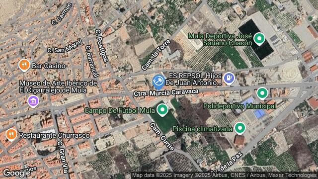 Ubicación de la subastas Subasta de paraje caÑada de merida  ( mula - murcia) en MURCIA
