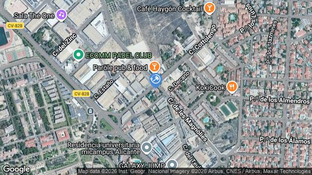 Ubicación de la subastas Subasta de solar en S VICENT DEL RASPEIG-S VICENTE DEL