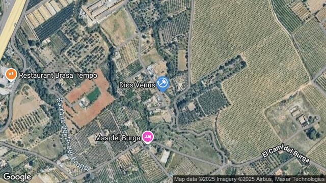 Ubicación de la subastas Subasta de finca rústica en REUS