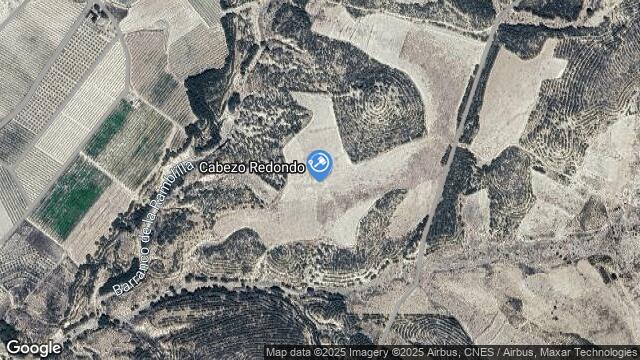 Ubicación de la subastas Subasta de finca rústica en Cieza