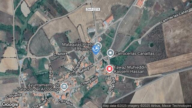 Ubicación de la subastas Subasta de finca rústica en PALACIOS DEL ARZOBISPO